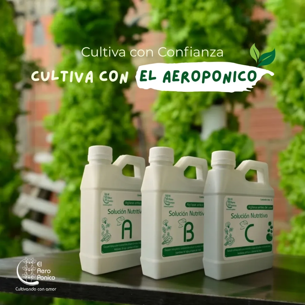 Formula Universal (2).webp