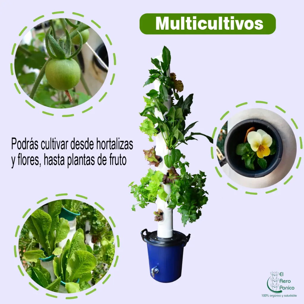 CULTIVOS.webp