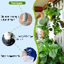 VENTAJAS.webp