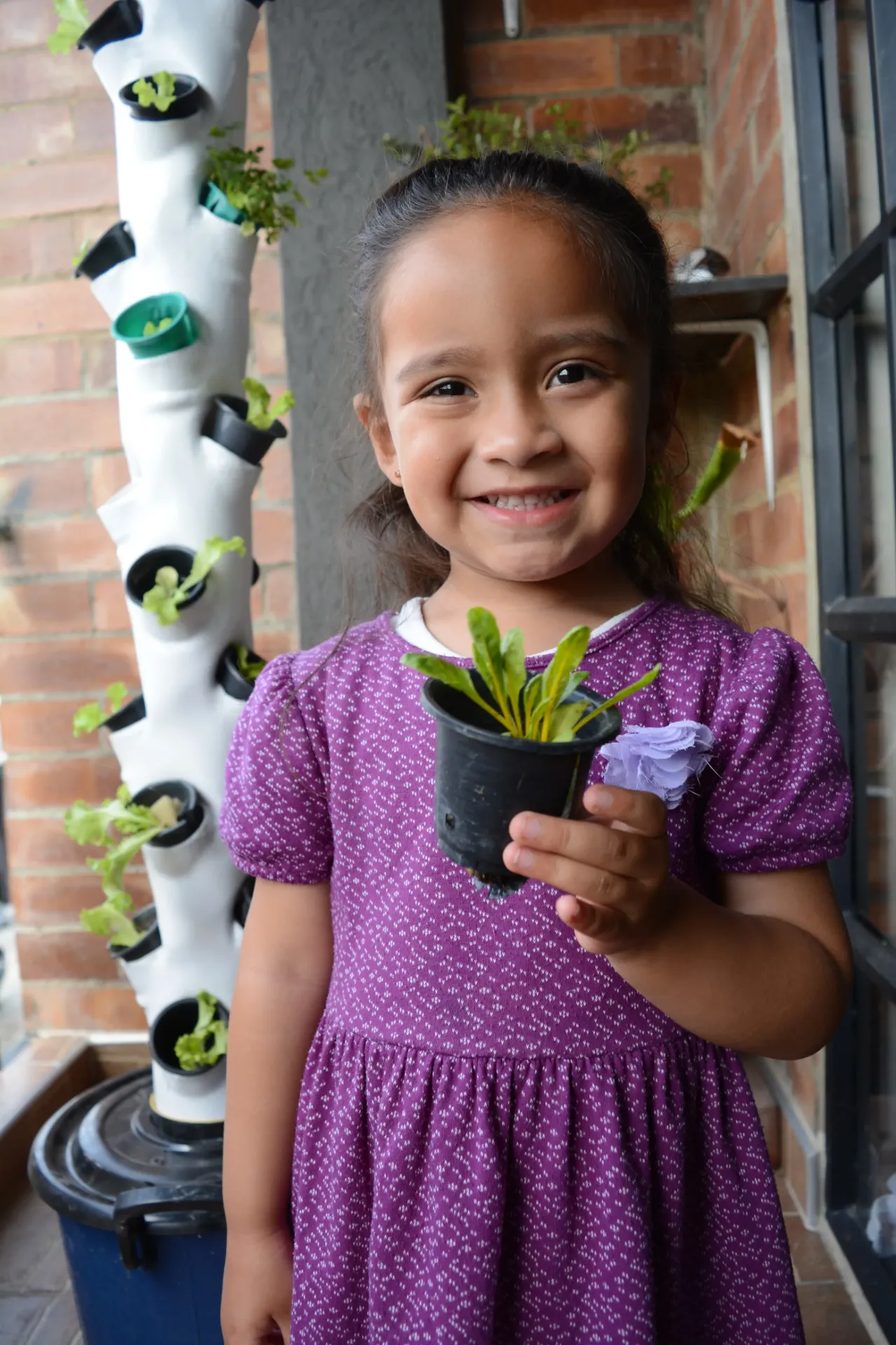 Capacitación en Hidroponía